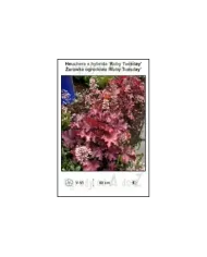 Heuchera-x-hybrida-Ruby-Tuesday.jpg