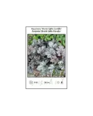 Heuchera-World-Caffe-Coretto.jpg