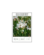 Gaura-Compact-White.jpg