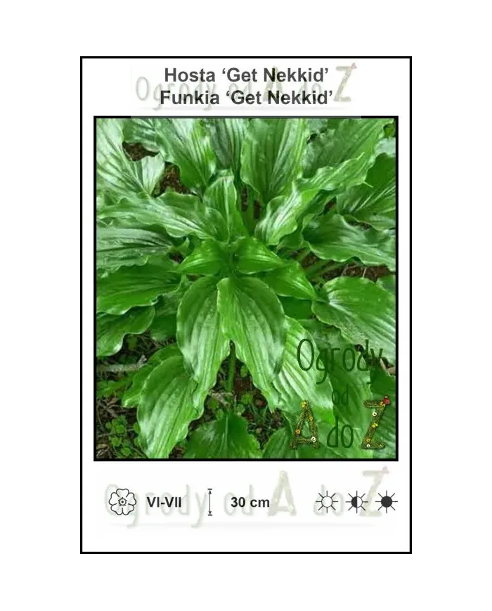 Hosta-Get-Nekkid.jpg
