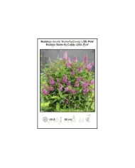 Buddleja-davidii-Butterfly-Candy-Little-Pink.jpg