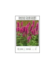 Agastache-Danish-Delight.jpg