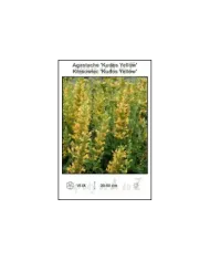 Agastache-Kudos-Yellow.jpg