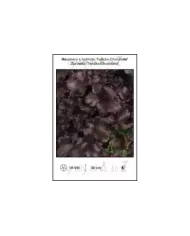 Heuchera-x-hybrida-Toncka-Chocolate