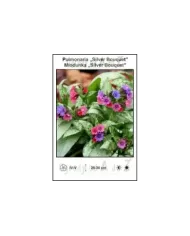 Pulmonaria-Silver-Bouquet.jpg