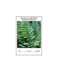 Polystichum-neolobatum