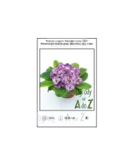 Primula-vulgaris-Belarina-Lively-Lilac