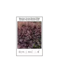 Heuchera-Toncka-Frosted-Purple