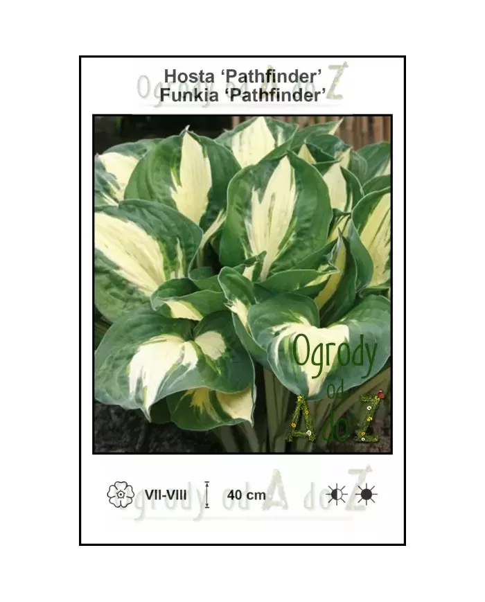 Hosta-Pathfinder