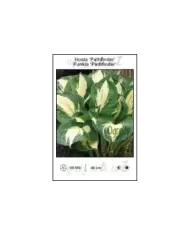 Hosta-Pathfinder