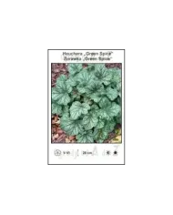 Heuchera-Green-Spice.jpg