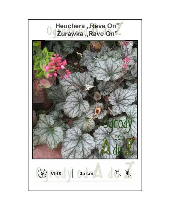 Heuchera-Rave-On.jpg