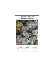 Heuchera-Rave-On.jpg