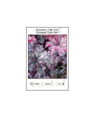 Heuchera-Can-Can.jpg