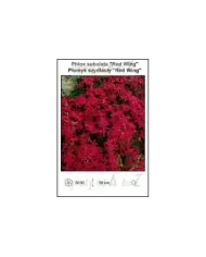 Phlox-subulata-Red-Wing.jpg