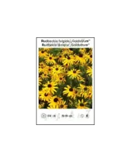 Rudbeckia-fulgida-Goldstrum.jpg Rudbeckia-fulgida-Goldstrum.jpg