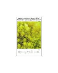 Sedum-x-hybridum-Winter-Lemon.jpg Sedum-x-hybridum-Winter-Lemon.jpg