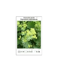 Alchemilla-mollis.jpg