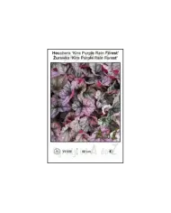 Heuchera-Kira-Purple-Rain-Forest.jpg