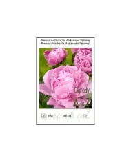 Paeonia-lactiflora-Dr-Aleksander-Fleming.jpg Paeonia-lactiflora-Dr-Aleksander-Fleming.jpg