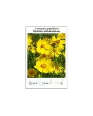 Coreopsis-grandiflora.jpg Coreopsis-grandiflora.jpg