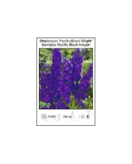 Delphinium-Pacific-Black-Knight.jpg