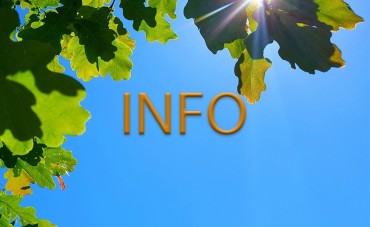 Targi - Zielono Mi - informacja