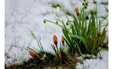 Idzie wiosna - ogród po zimie!